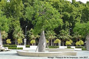 127- Malaga Palmeral Sorpresas